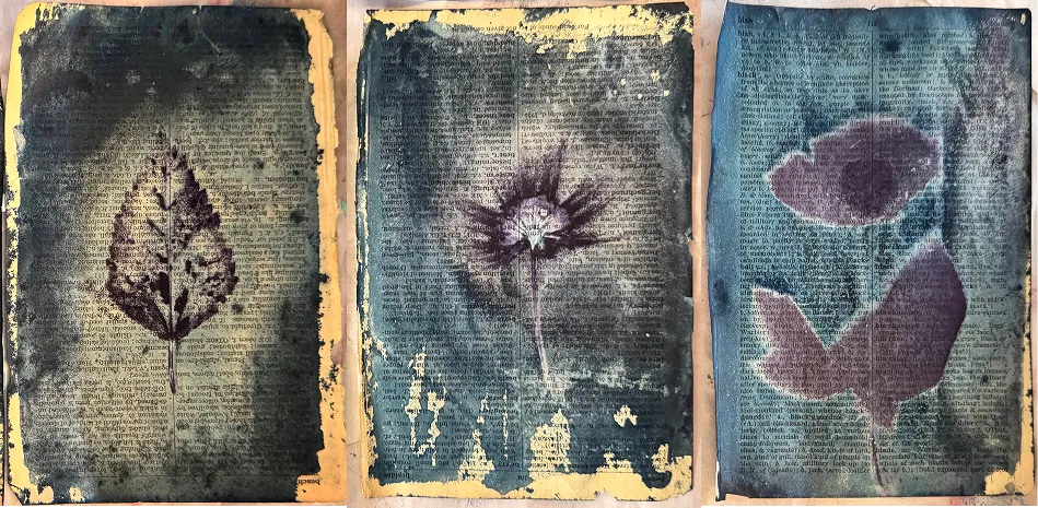 Cyanotype