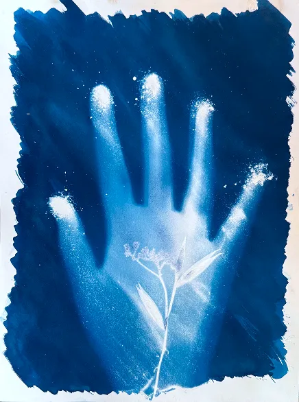 Cyanotype