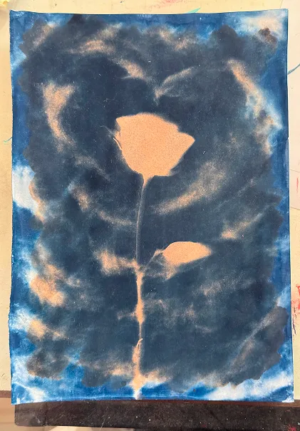 Cyanotype